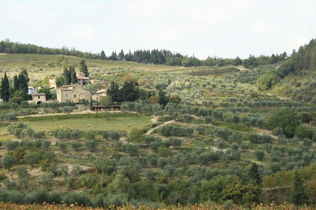 מלון גרבה אין קיאנטי Agriturismo Podere Somigli Di Lorenzo Correani מראה חיצוני תמונה