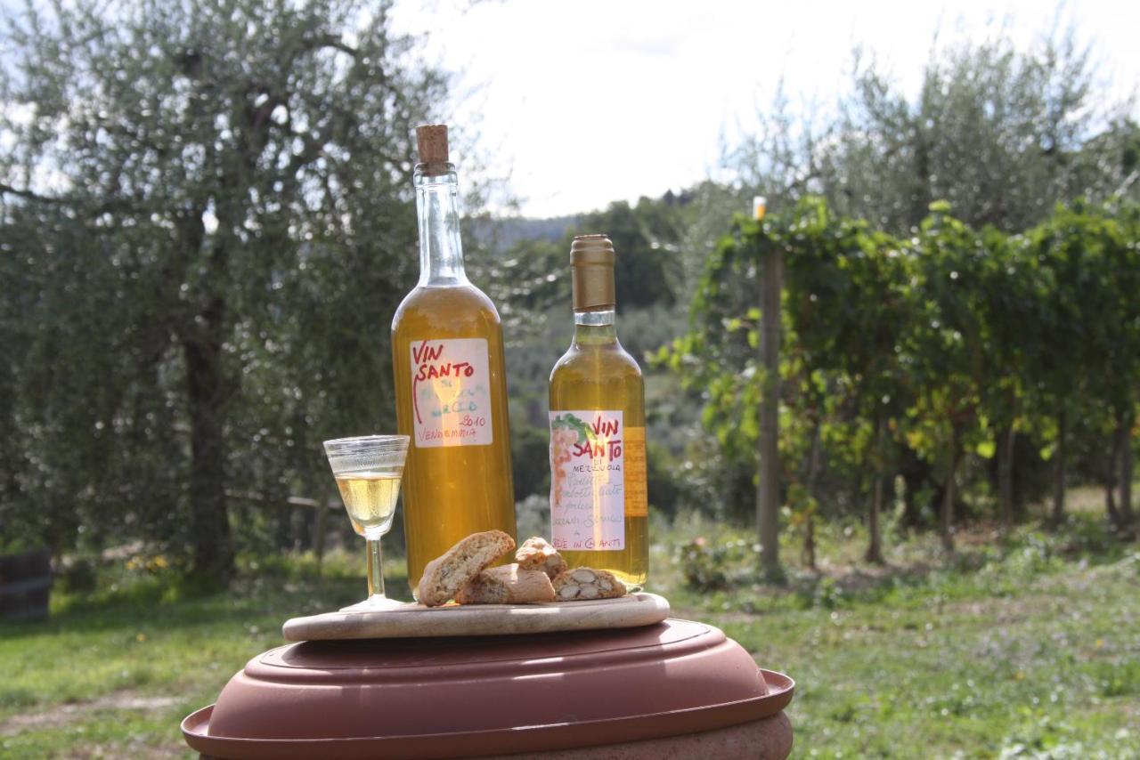מלון גרבה אין קיאנטי Agriturismo Podere Somigli Di Lorenzo Correani מראה חיצוני תמונה